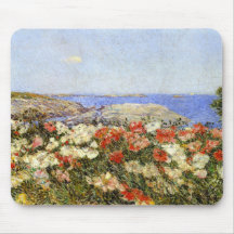 ソール島の野生のケシ