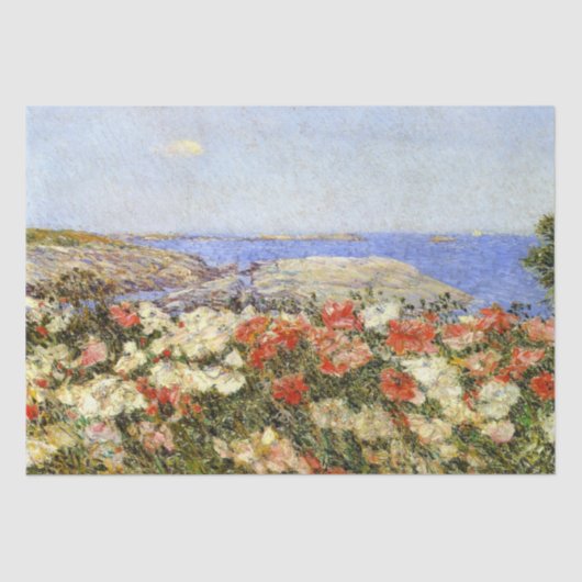 ソール島の野生のケシ 薄葉紙 (正面)