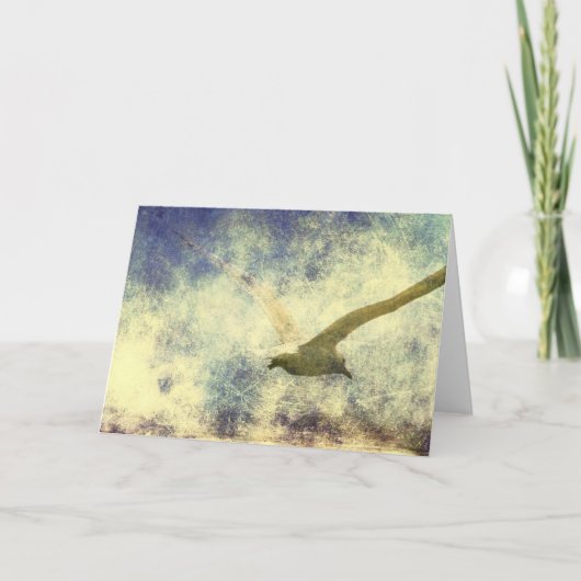 ソール カード (正面)