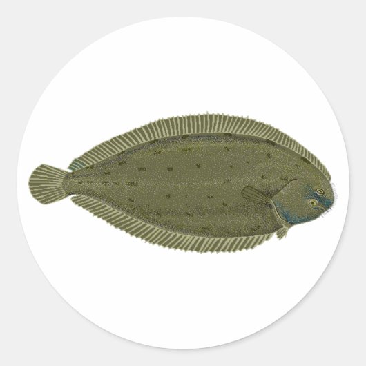 ソール ラウンドシール (正面)