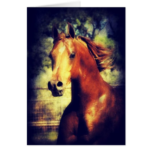 ソーレルアラビア語 (正面)