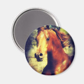 ソーレルアラビア語 マグネット (正面/裏面)