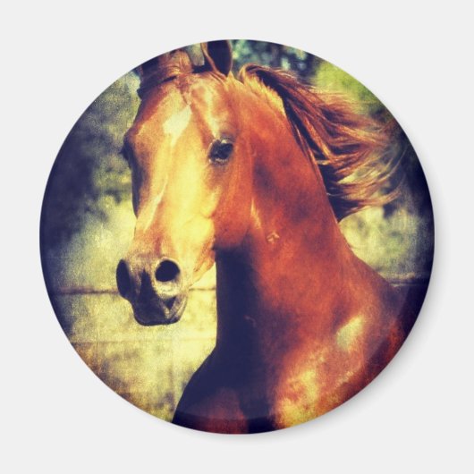 ソーレルアラビア語 マグネット (正面)