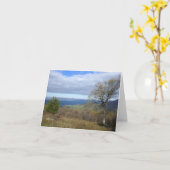 ソーントンギャップビューイン春 カード (黄色い花)