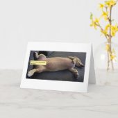 ソーヴィニヨン・ブラン対ミリーグラム カード (黄色い花)