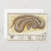 ソ連の切手Fhole砂 ポストカード (正面/裏面)