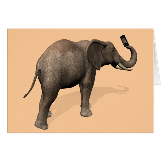 ゾウが自撮り (正面横)