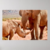 ゾウとサイは相性が悪い ポスター (正面)