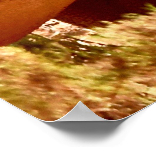 ゾウとサイは相性が悪い ポスター (角)