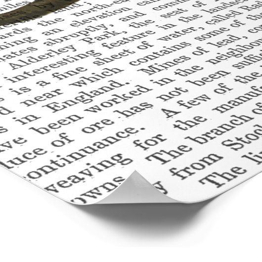 ゾウとペンギン ポスター (角)