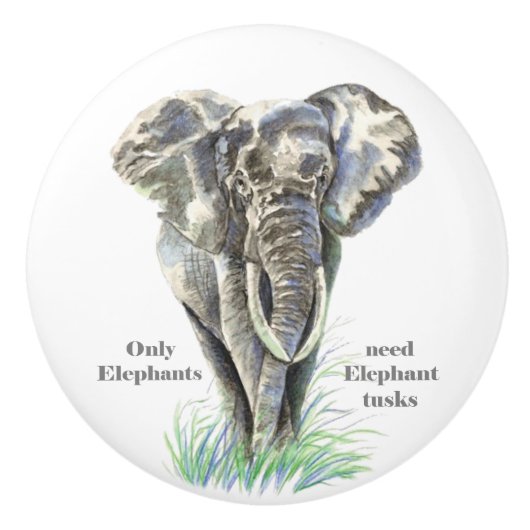 ゾウのみ象の牙が必要引用文 セラミックノブ (正面)