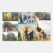 ゾウのカラー写真 長方形シール (正面)