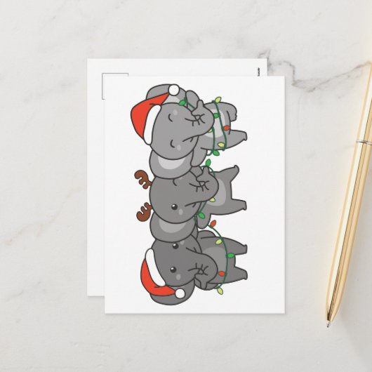 ゾウのクリスマス動物かわいい休日 シーズンポストカード (正面/裏面インサイチュ)