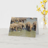 ゾウのグリーティングカード カード (黄色い花)