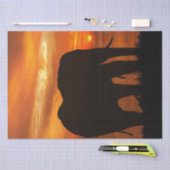 ゾウのサンセットシルエット 薄葉紙 (クラフト)