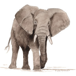 ゾウのシール ラウンドシール