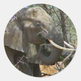 ゾウのステッカー ラウンドシール