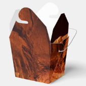 ゾウのテイクアウト特典ボックス フェイバーボックス (オープン)