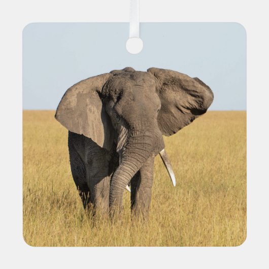 ゾウのパーソナライズ名写真クリスマス メタルオーナメント (正面)