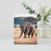 ゾウのポートレート ポストカード (スタンド正面)