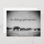 ゾウの世代のグリーティングカード ポストカード (正面/裏面)