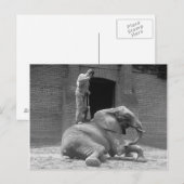 ゾウの世話をする動物園飼育員、1922年 ポストカード (正面/裏面)