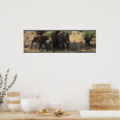 ゾウの優雅さ ポスター (キッチン)