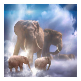 ゾウの天国 フォトプリント           