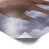 ゾウの天国 フォトプリント            (角)