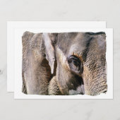 ゾウの招待 (正面/裏面)