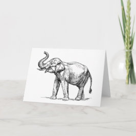 ゾウの支配 カード