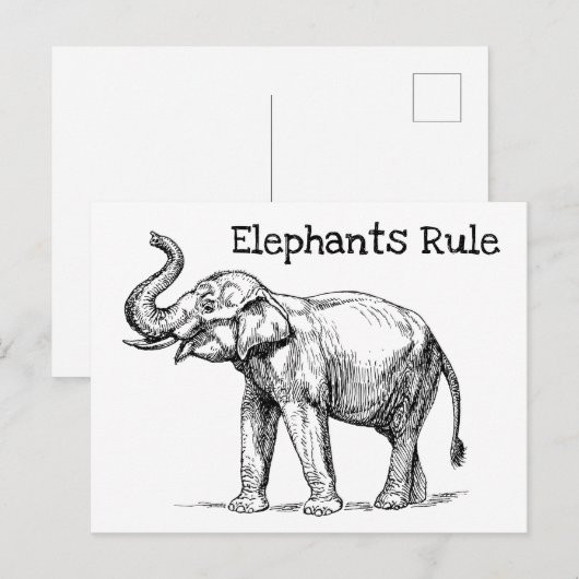 ゾウの支配 ポストカード (正面/裏面)
