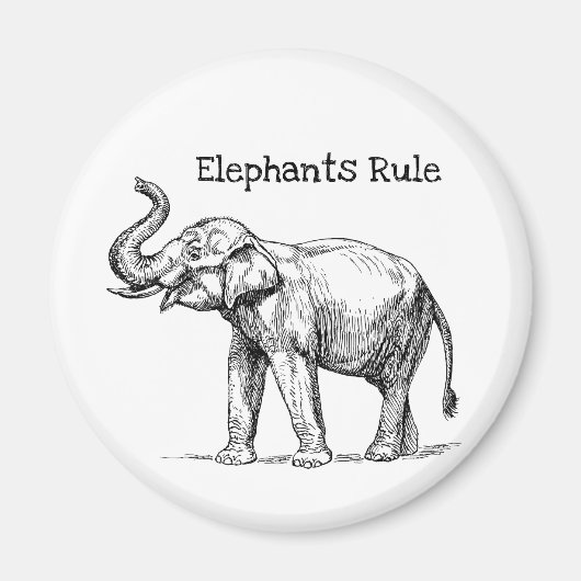 ゾウの支配 マグネット (正面)