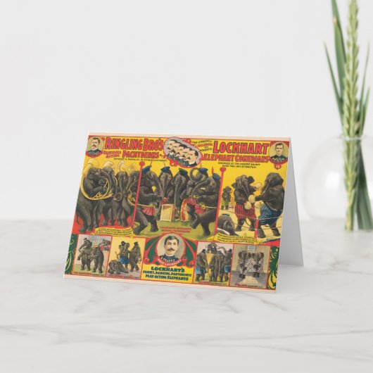 ゾウの演奏サーカスのポスター カード (正面)