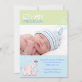 ゾウの男の赤ちゃん写真の誕生発表 案内状 (正面)