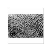 ゾウの皮 ラバースタンプ (インプリント)