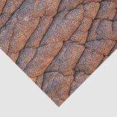 ゾウの皮 薄葉紙 (詳細)