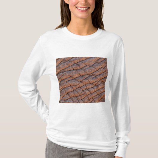 ゾウの皮 Tシャツ (正面)