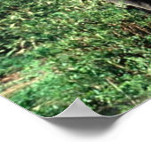 ゾウの群れのポスター ポスター (角)