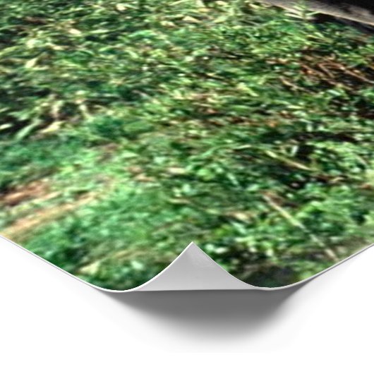 ゾウの群れのポスター ポスター (角)