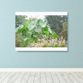 ゾウの耳植物 キャンバスプリント (インサイチュ (ウッドフロア))