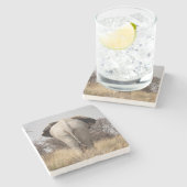 ゾウの背面 ストーンコースター (横)