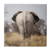 ゾウの背面 タイル (正面)