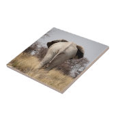 ゾウの背面 タイル (側面)