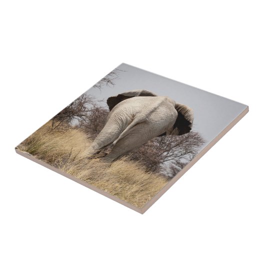 ゾウの背面 タイル (側面)