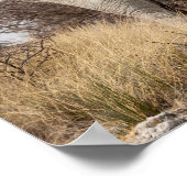 ゾウの背面 ポスター (角)