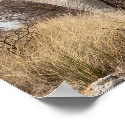 ゾウの背面 ポスター (角)