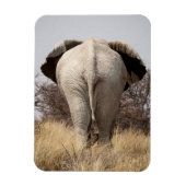 ゾウの背面 マグネット (縦)