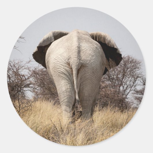 ゾウの背面 ラウンドシール (正面)