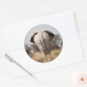 ゾウの背面 ラウンドシール (封筒)